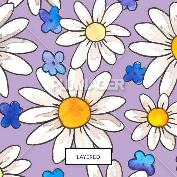 Sunny Daisy - PLNN4051
