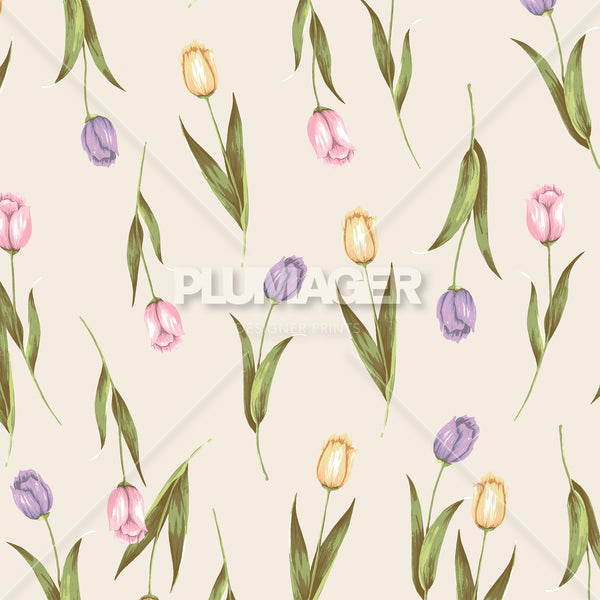 Tulip Tango - PLNN4168