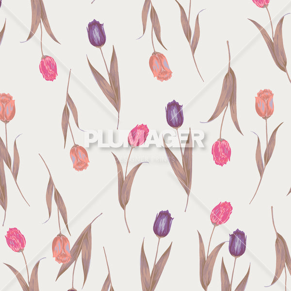 Tulip Tango - PLNN4168