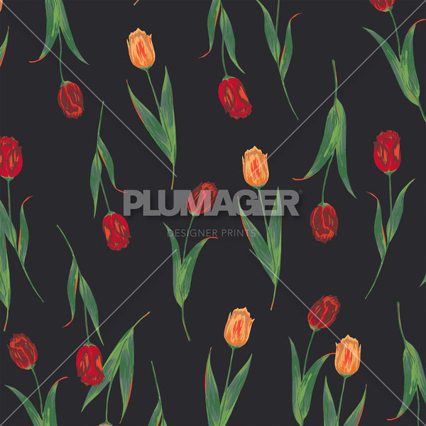 Tulip Tango - PLNN4168