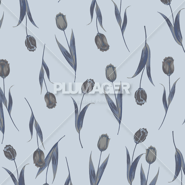 Tulip Tango - PLNN4168
