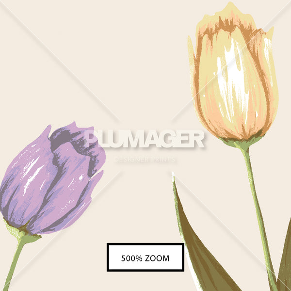 Tulip Tango - PLNN4168