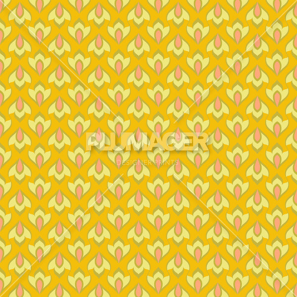Allotrope Geo - PLNN4170