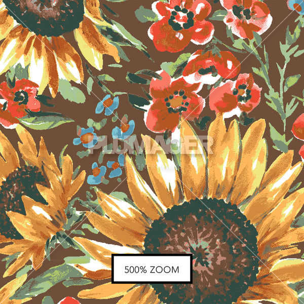 Sunflower Field - Zoomview