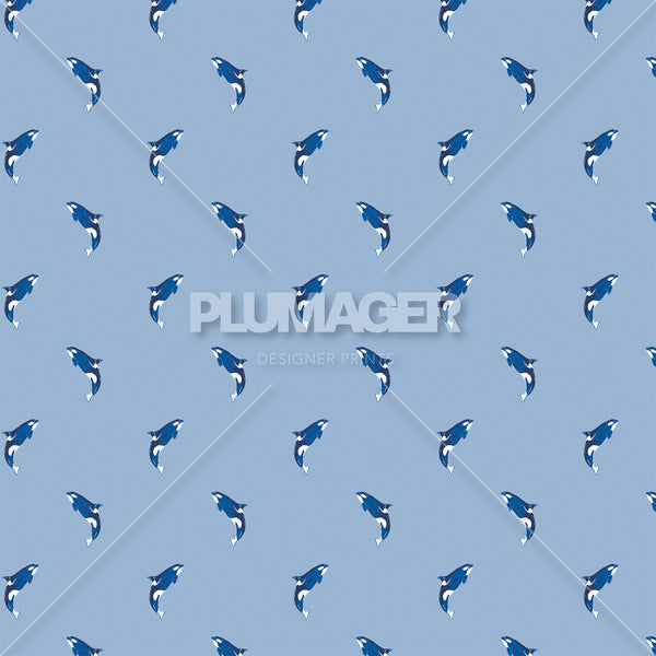 Natural Born Killer Whale- PLFNN4177