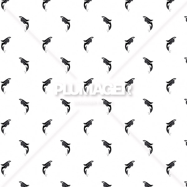 Natural Born Killer Whale- PLFNN4177