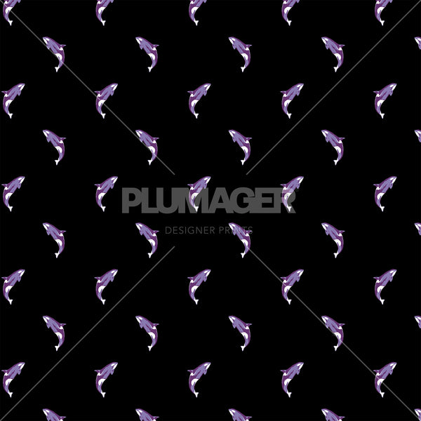 Natural Born Killer Whale- PLFNN4177