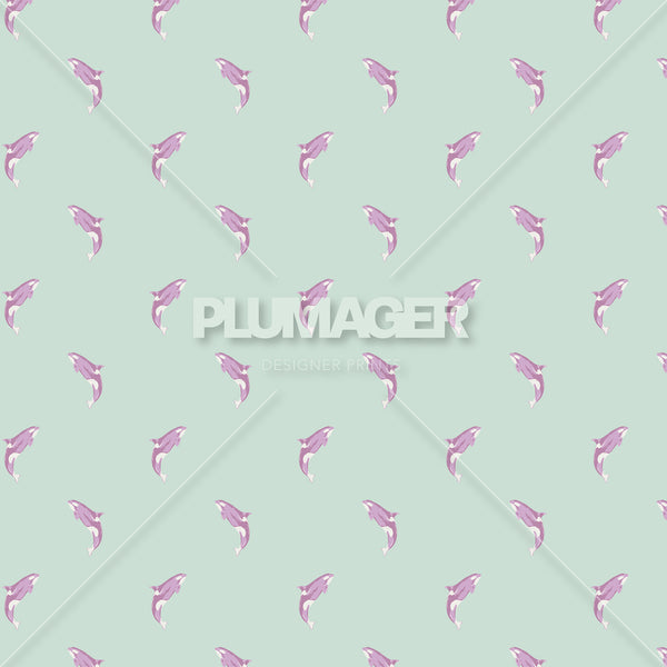 Natural Born Killer Whale- PLFNN4177