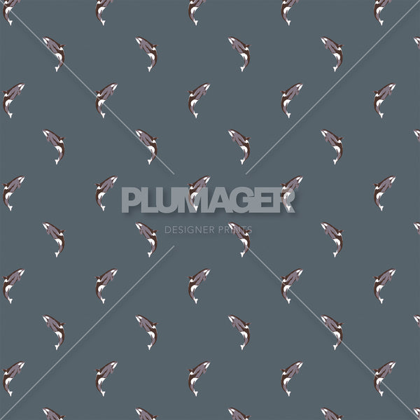 Natural Born Killer Whale- PLFNN4177