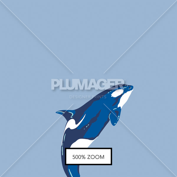 Natural Born Killer Whale- PLFNN4177