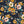Alexis Floral - Colorway 2