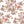 Alexis Floral - Colorway 3