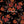 Alexis Floral - Colorway 1