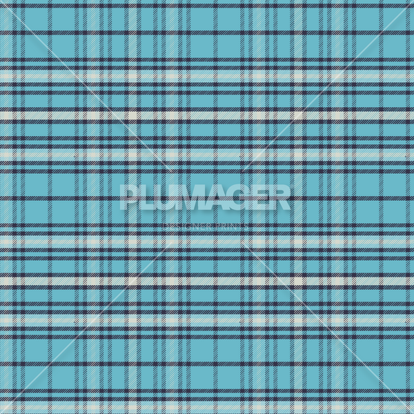 PLPL-2003PembrookePlaidA - Colorway 4