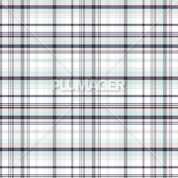 PLPL2022-PrestonPlaidA - Colorway 4