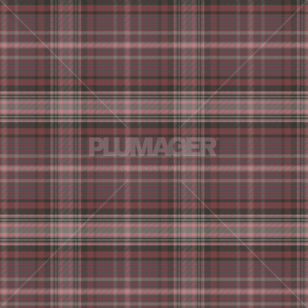 Brockton Plaid A - Swatches 5