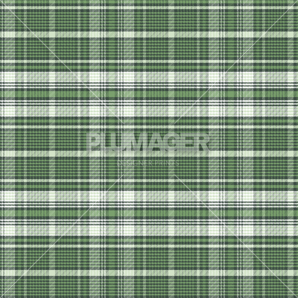 PLPL2037-Pricilla_Plaid_A - Colorway 5