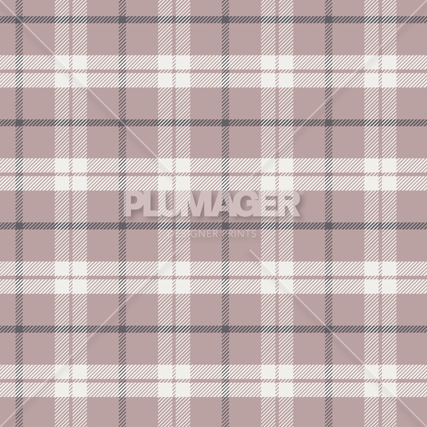 Balanced Check - Colorway 4
