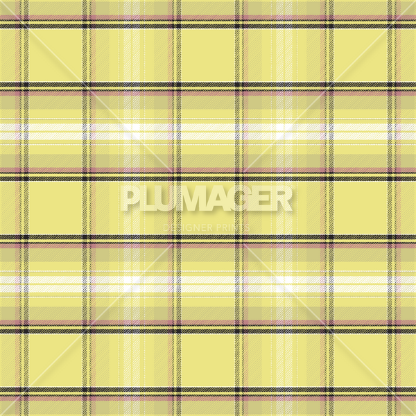 PLPL2060-PalacePlaid - Colorway 3