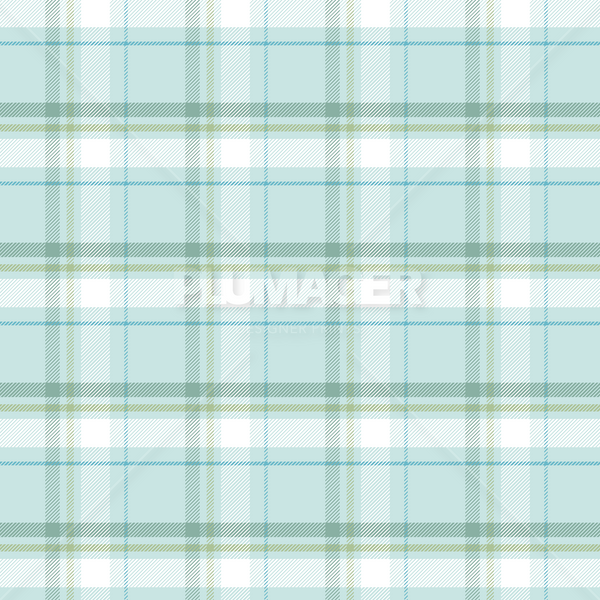 PLPL2062-MaldenPlaid - Colorway 1