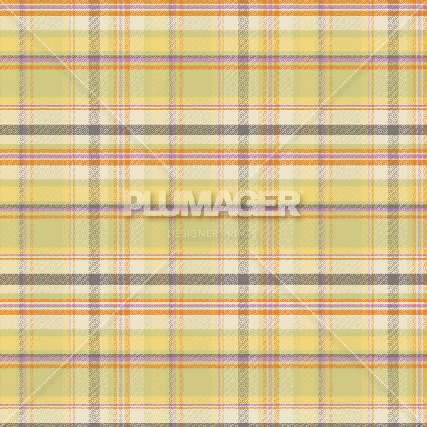 PLPL2064-ChennaiCheck - Colorway 3