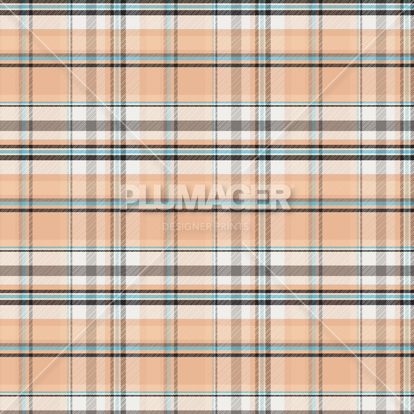 PLPL2064-ChennaiCheck - Colorway 4