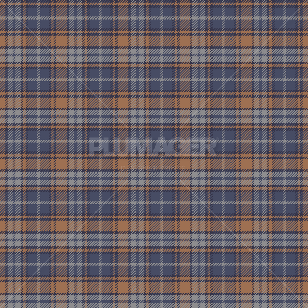PLPL2089-Charlie Check - Colorway 3