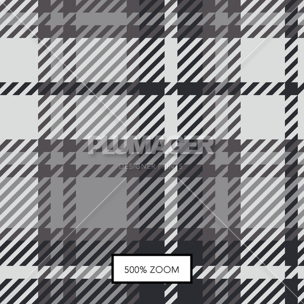 PLPL2089-Charlie Check - Zoomview