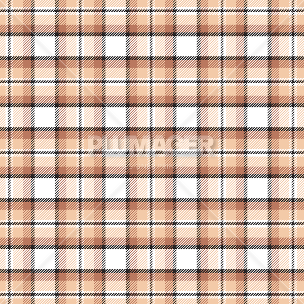 PLPL2090-Popular_Plaid - Colorway 2